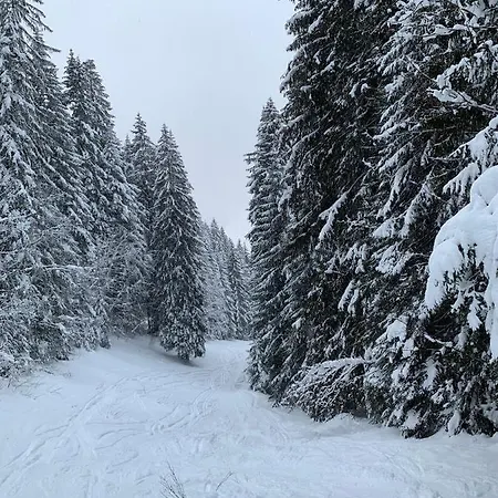La Jolie Bergere Chalet Morzine